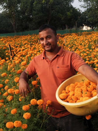  २४ वर्षीय युवाको लोभलाग्दो व्यावसायिक फूलखेती 
